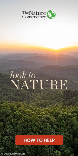 Adbeat :: Advertiser Ads | nature.org