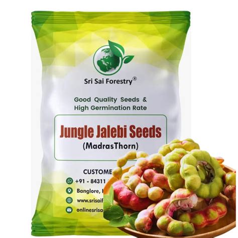 Fruit Tree Seeds - SRI SAI FORESTRY
