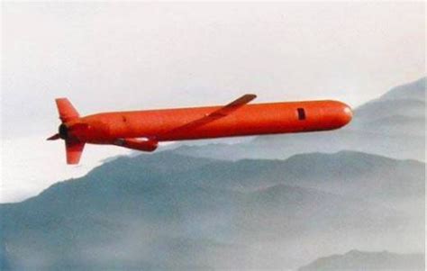 国防时报-国防新闻网-日本拟采购进攻型武器“战斧”巡航导弹