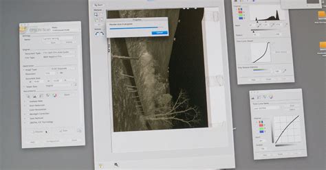 Scanning Disk Negatives 的图像结果