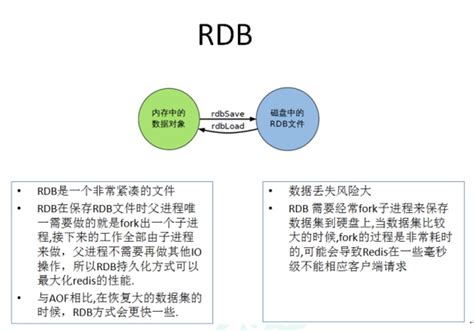 Image result for Rebdb Java