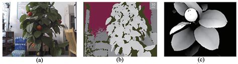 Experiments and Analysis of Close-Shot Identification of On-Branch ...