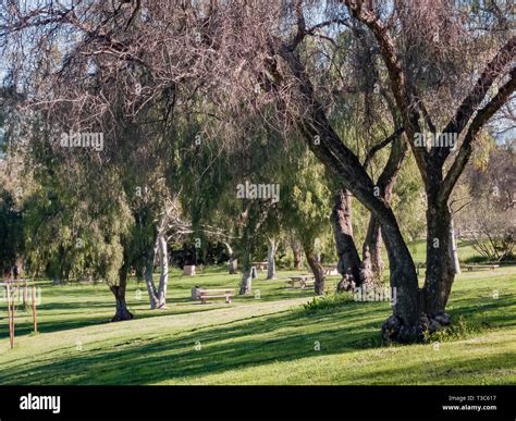 Beautiful nature landscape around Peter F. Schabarum Regional Park at ...