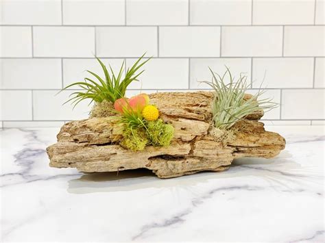 Beachcombing and Driftwood Planter Workshop, The Little Shop of ...