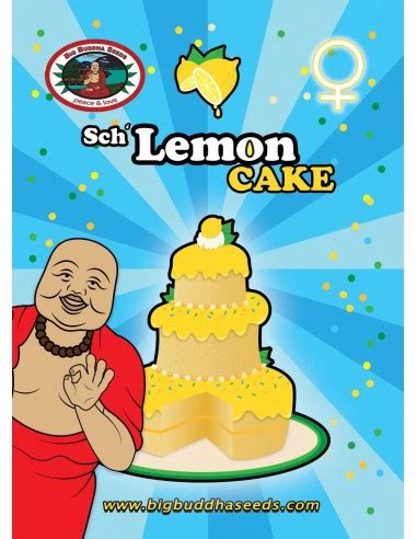 Sch' Lemon Cake (Big Buddha Seeds) Feminized Seeds - Oaseeds