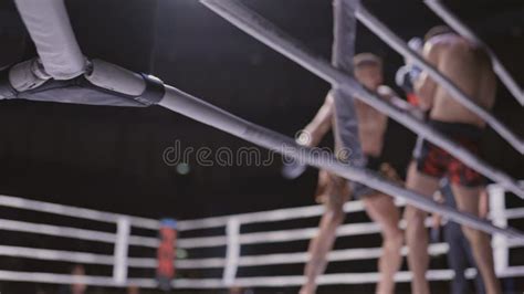 Boxing Referee 的图像结果