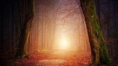 Image result for Dramatic Setting