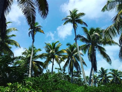 KUKULKAN ADVENTURES (2026) All You Need to Know BEFORE You Go (with ...