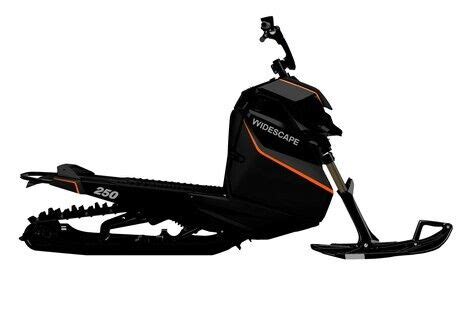 Canadian Standing Snowmobiles : widescape