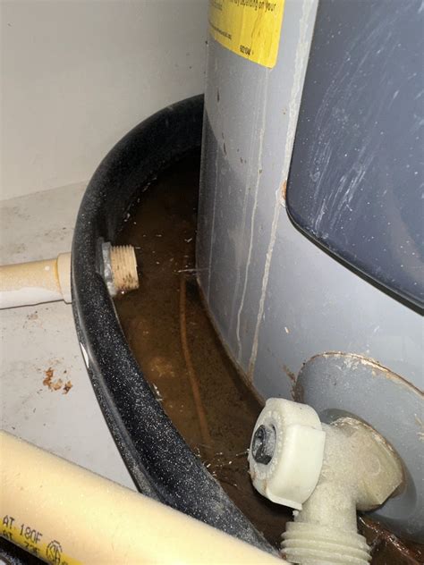 Apartment Water Heater Leaking: Essential Fixes & Tips | Smart Water Source