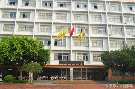 东莞市公立小学排名榜 东莞市东城区中心小学上榜 - 小学