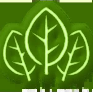 Acolyte of Nature - bg3.wiki