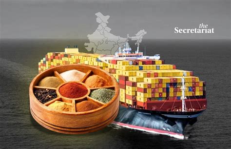Maritime Trail: How Mother Vessels Could Redraw India’s Trade Routes