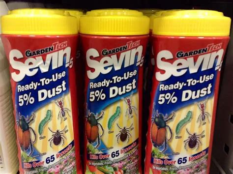 Image result for Using Sevin Dust