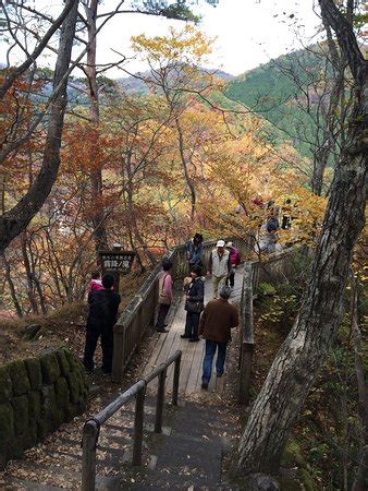 Nikko Hiking Service - Asakusa | Tripadvisor
