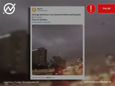 Birds In The Sky Ahead Of The Earthquake In Turkey?