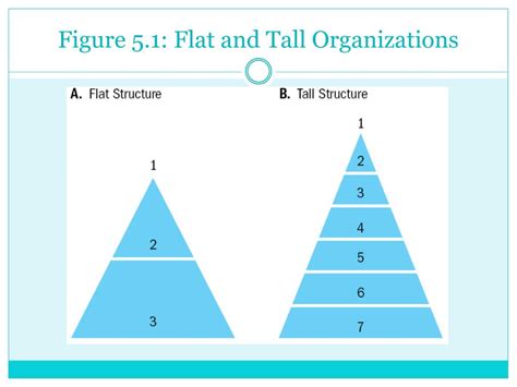 Image result for Flat Organization Challenges