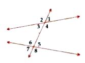 Identify each of the given pair of angles as alternate angles, co ...