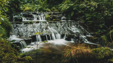 Download wallpaper 1920x1080 waterfalls, cascade, trees, water full hd ...