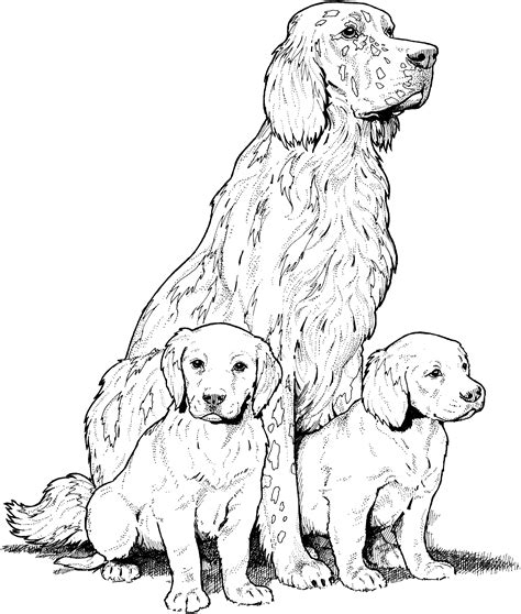 Printable Coloring Page Dog