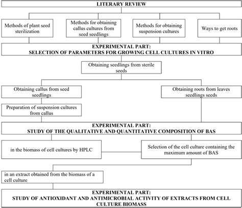 Algorithm in Research Paper Example 的图像结果