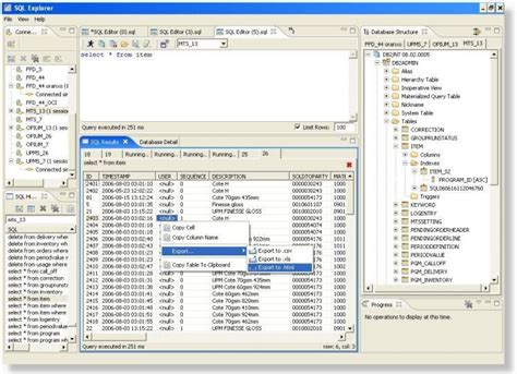 Image result for SQL Explorer Download