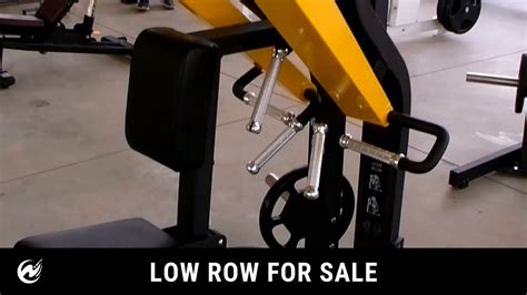 Image result for Back Workout Machine