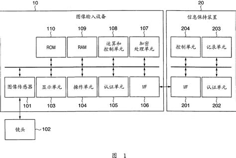 Data Processing Apparatus 的图像结果