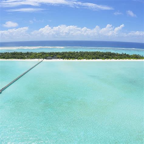 DIVEOCEANUS HOLIDAY ISLAND RESORT & SPA (2026) All You Need to Know ...