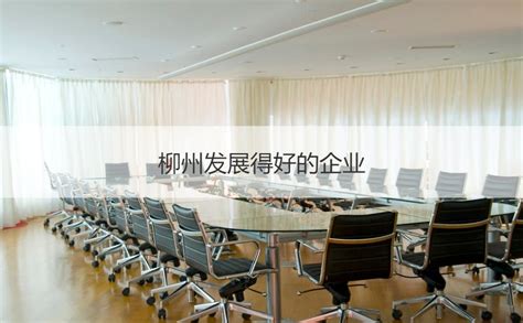 柳州大企业排行榜前十名有哪些 柳州企业排名 HR学堂【桂聘】