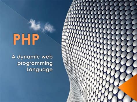 Image result for Web Scripting