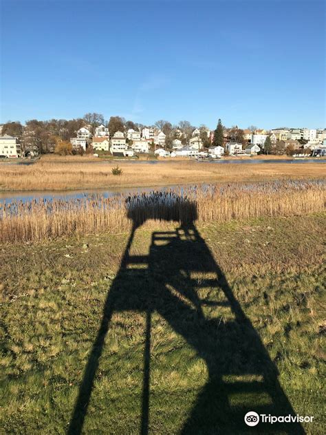 10 CLOSEST Hotels Near The Squire - Revere | Trip.com