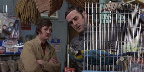 Image result for Monty Python Flying