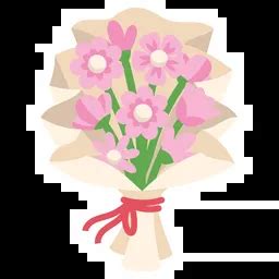 Image result for Pink Botim Icon