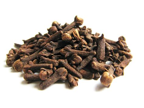 Cloves Spice Plant