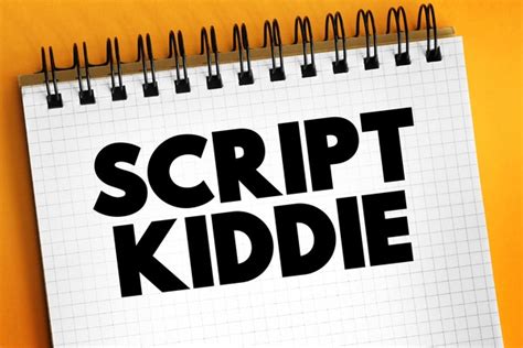 Image result for Script Kiddie Examples