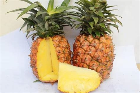 凤梨和菠萝的区别是什么 - 致富热