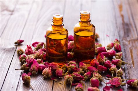 History Of Rose Essential Oil at Lavina Flippen blog