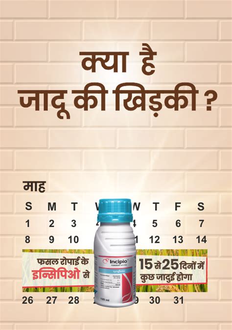 Incipio/Hindi_2024 | Syngenta