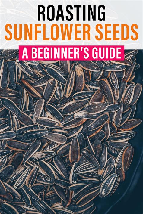 Roasting Sunflower Seeds: A Beginner's Guide | Roasting sunflower seeds ...