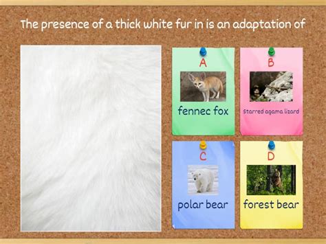 Image result for 4th Grade Science Trivia Questions