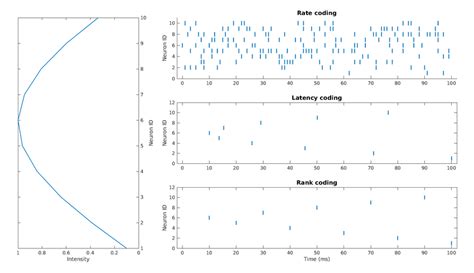 Image result for Different Type De Codage