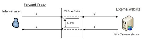Image result for Forward Proxy in Live Project Example