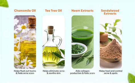 VLCC Melia Face Wash - 500ml | Controls Excess Oil | Helps Fight Acne ...