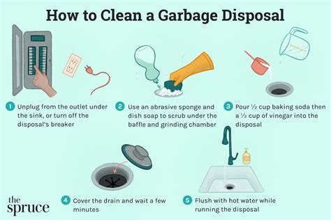 Image result for Garbage Disposal Cleaning