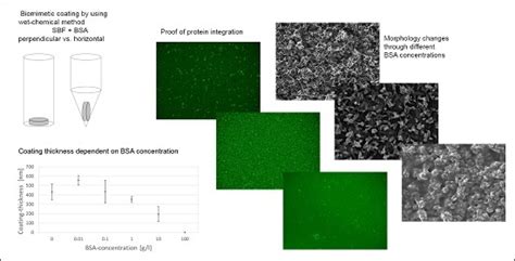 Coatings Based on Organic/Non-Organic Composites on Bioinert Ceramics ...