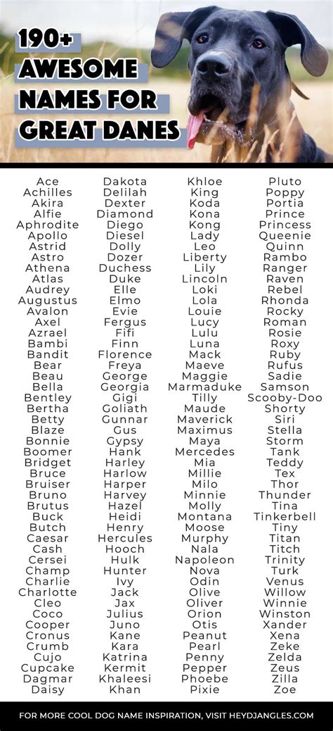 Great dane names male – Artofit