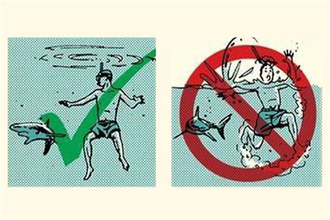 Survival 的图像结果