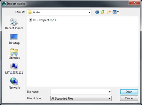 Loading Audio 的图像结果