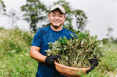 Image result for Patsy Knopf